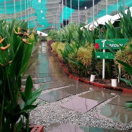 T Garden Villa Pantai Cenang  Buitenkant foto