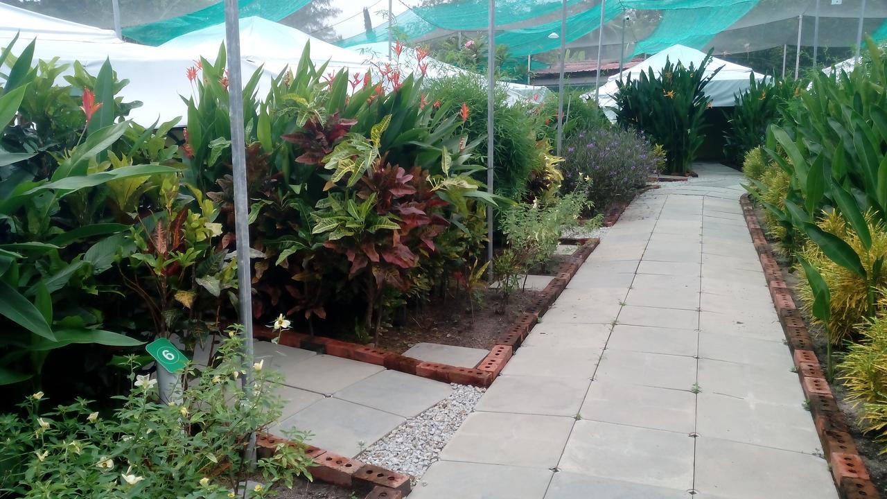 T Garden Villa Pantai Cenang  Buitenkant foto