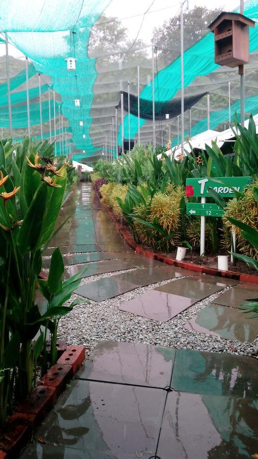 T Garden Villa Pantai Cenang  Buitenkant foto