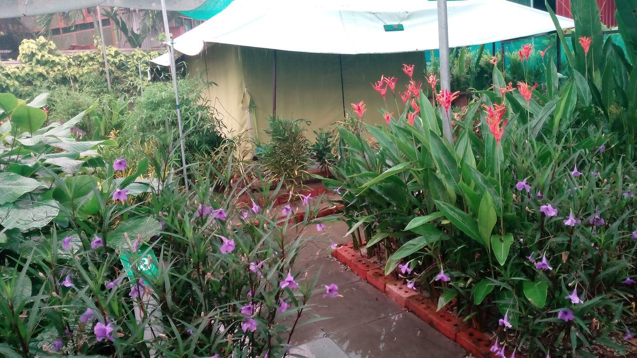 T Garden Villa Pantai Cenang  Buitenkant foto