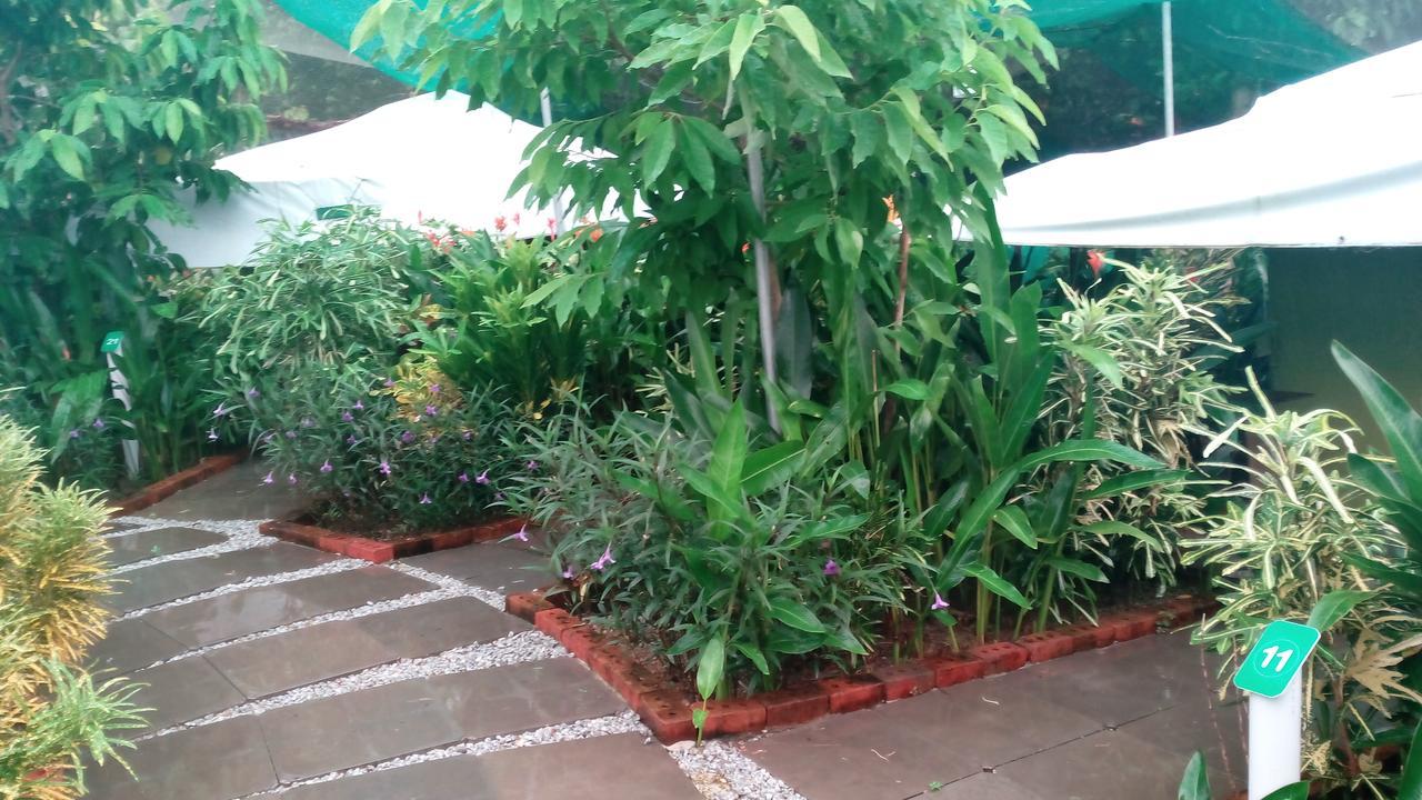 T Garden Villa Pantai Cenang  Buitenkant foto
