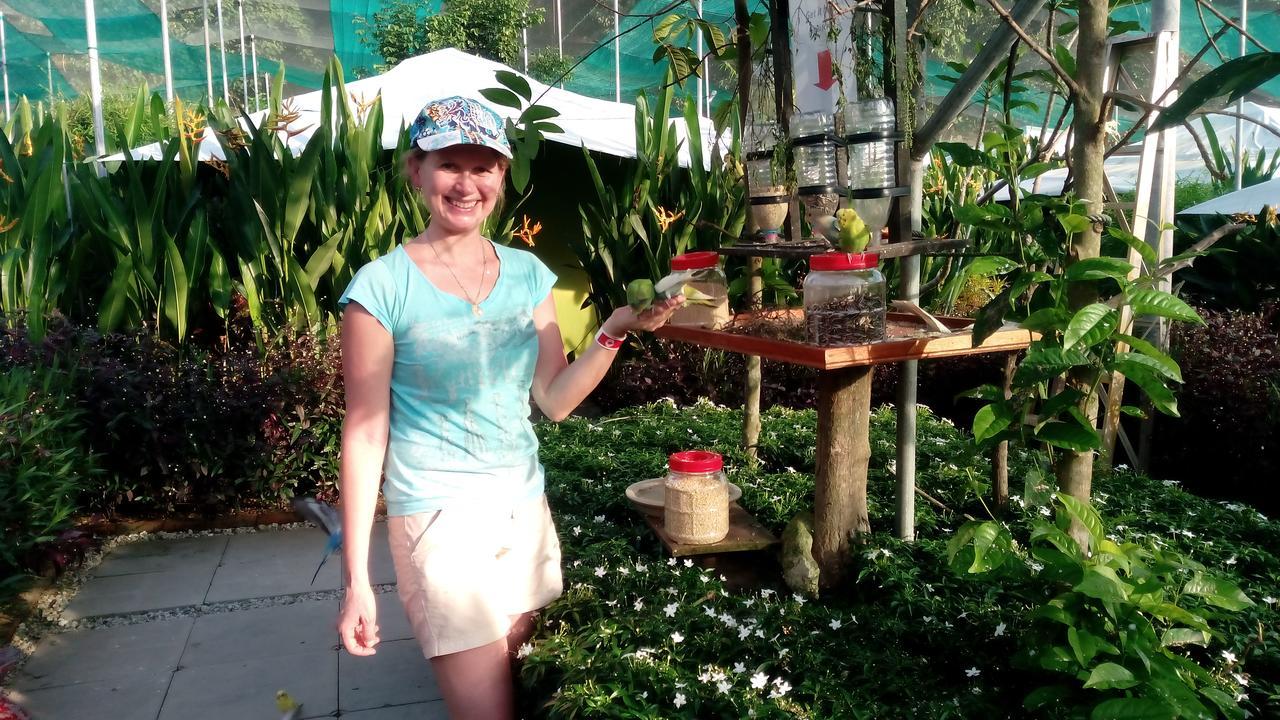 T Garden Villa Pantai Cenang  Buitenkant foto